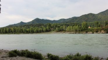 Сплав по Катуни